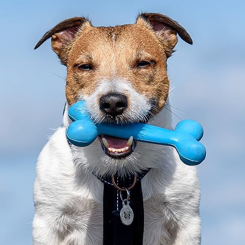 Vista 6 de Etiquetas de perro grabadas para mascotas, personalizadas con foto de raza de perro, acero inoxidable, doble cara, hasta 5 líneas de texto, 52 razas