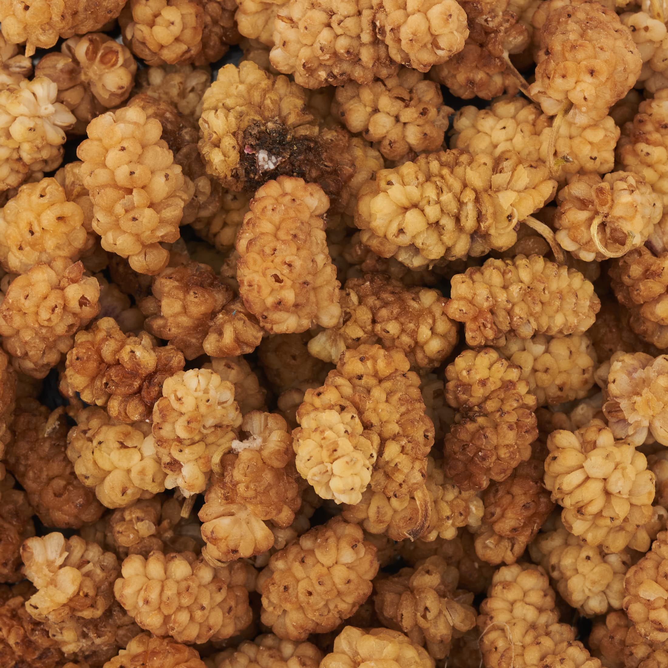 More di Gelso Bianco Biologico - 200g. Da Consumare Come Snack o in Yogurt