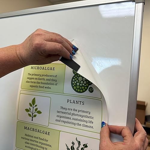 Miniatura 55 de Cinta adhesiva magnética flexible – 1/16" de espesor x 1/2" de ancho x 100 pies (1 rollo)