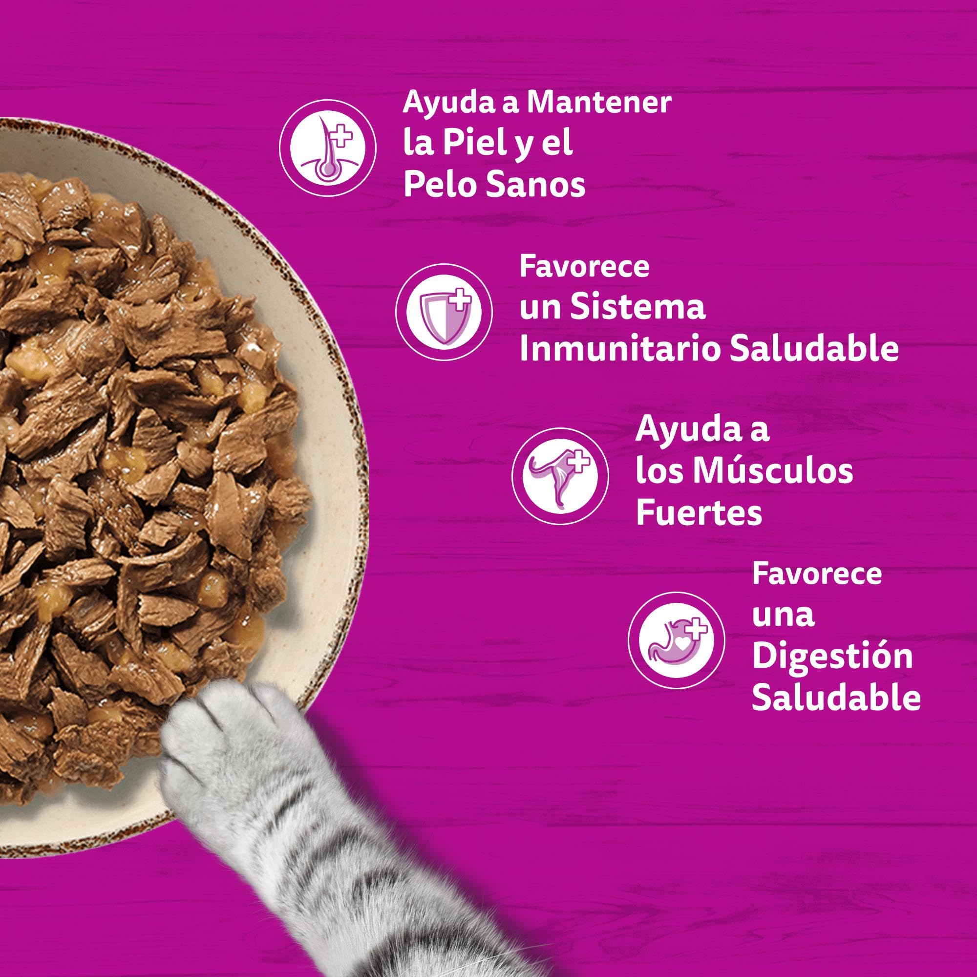 WHISKAS Comida húmeda en gelatina Gatos Adultos Tiernos bocados Ave - 13 x 4 bolsitas x 85g