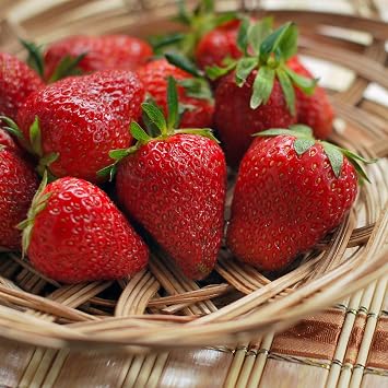 Annapolis June Bearing Bare Root Strawberry Plants - Harvest Early! Cold Hardy Producing a High Yield of Strawberries - from Hand Picked Nursery 5