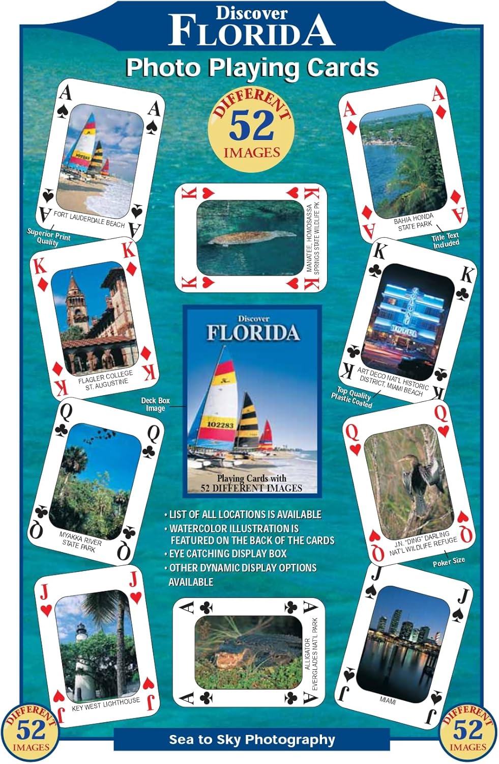 Discover Series Fun Playing Cards - Informational & Educational (Florida)