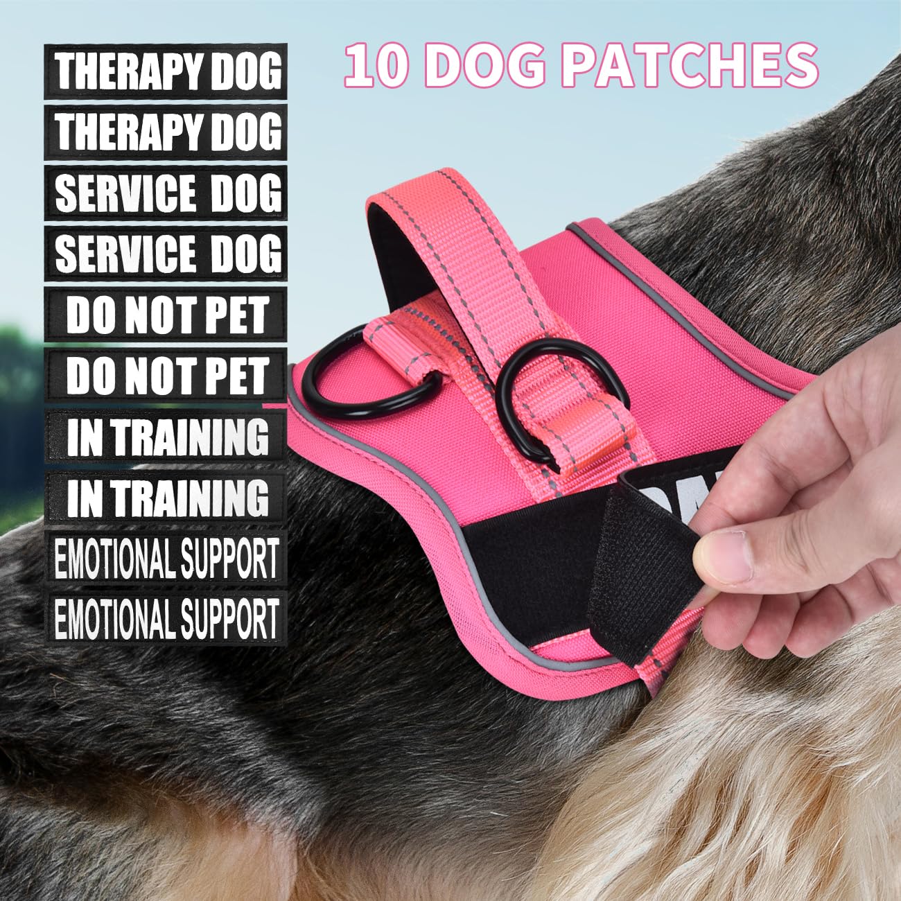 Juego de arnés y correa para perro, chaleco reflectante para perro de asistencia con 10 parches, 3 anillas, sin estrangulamiento, para perros pequeños, medianos y grandes (rosa cálido, S)