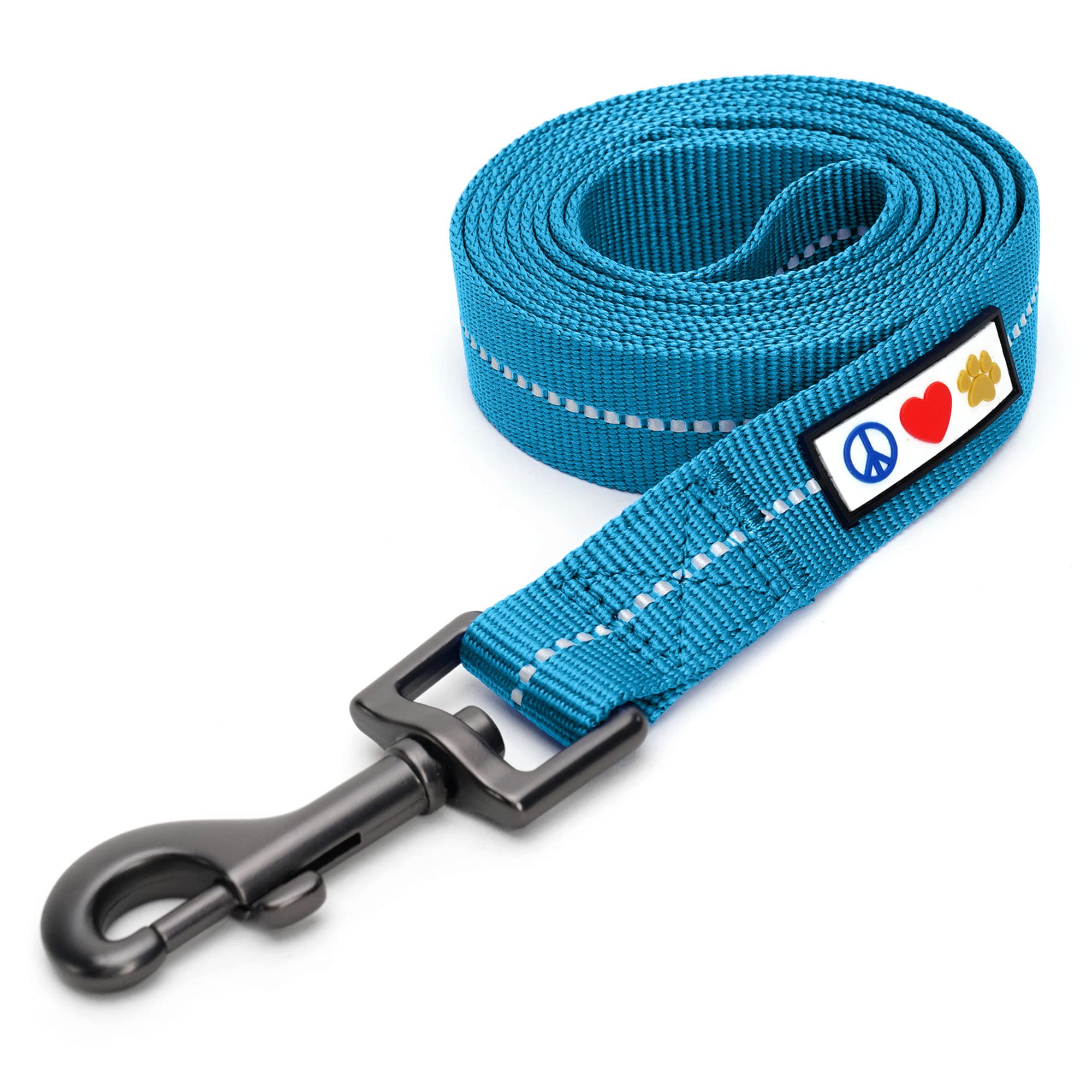 Pawtitas Teal Dog Leash 6 ft M/L Reflective Durable Lightweight Recycled Lead for Medium or Large Dogs and Puppies