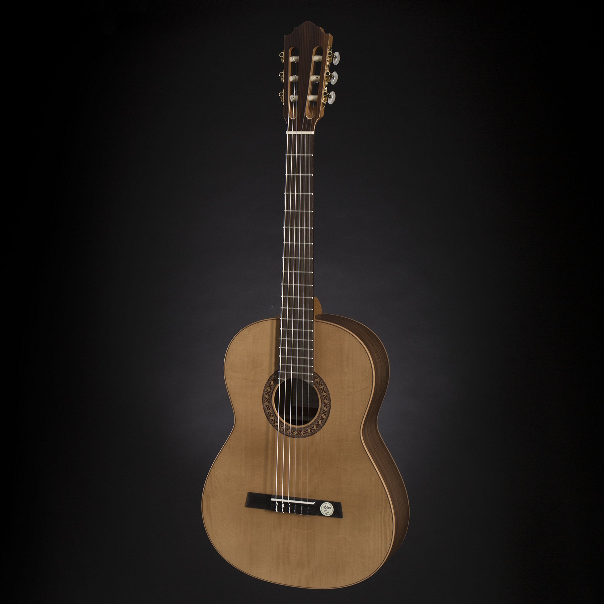 HGL 5 Guitarra de concierto