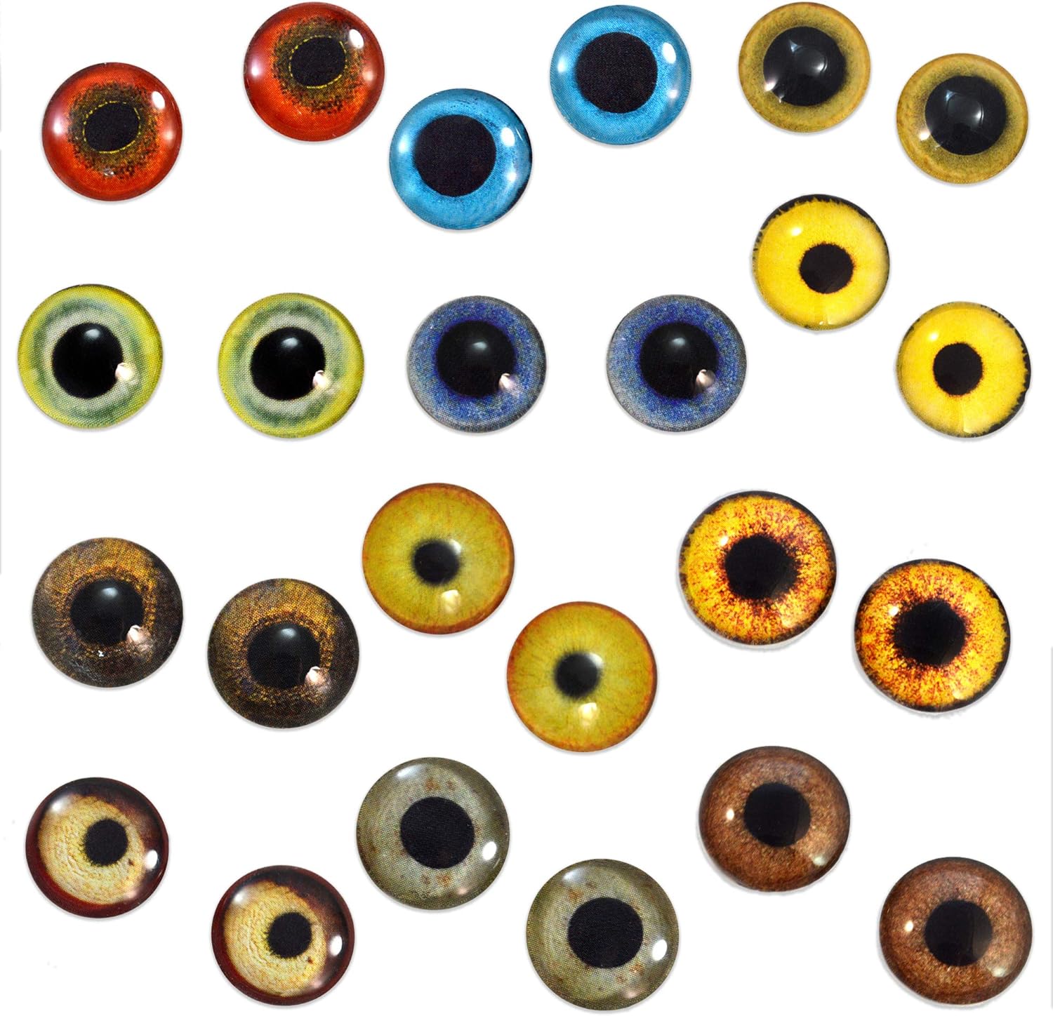 Bulk Lot 10mm Realistic Bird Glass Eyes Wholesale 12 Pairs Animal Taxidermy Cabochons for Jewelry or Craft Making