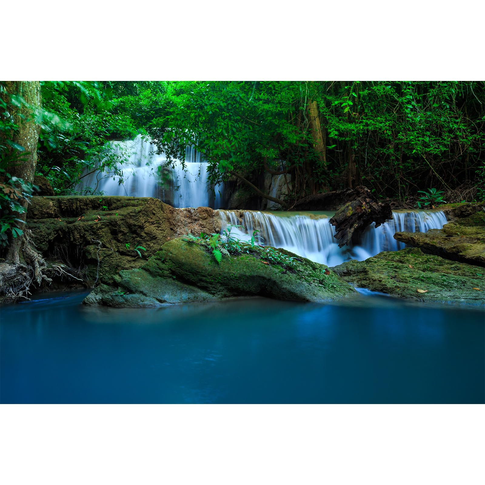 Cascading Waterfall Aquarium Background Jungle Forest Stream Terrarium Backgrounds Big Rocks Falls Green Trees Fish Tank Background Natural Waterfall Forest Reptile Tank Enclosure Backgrounds 24x16in