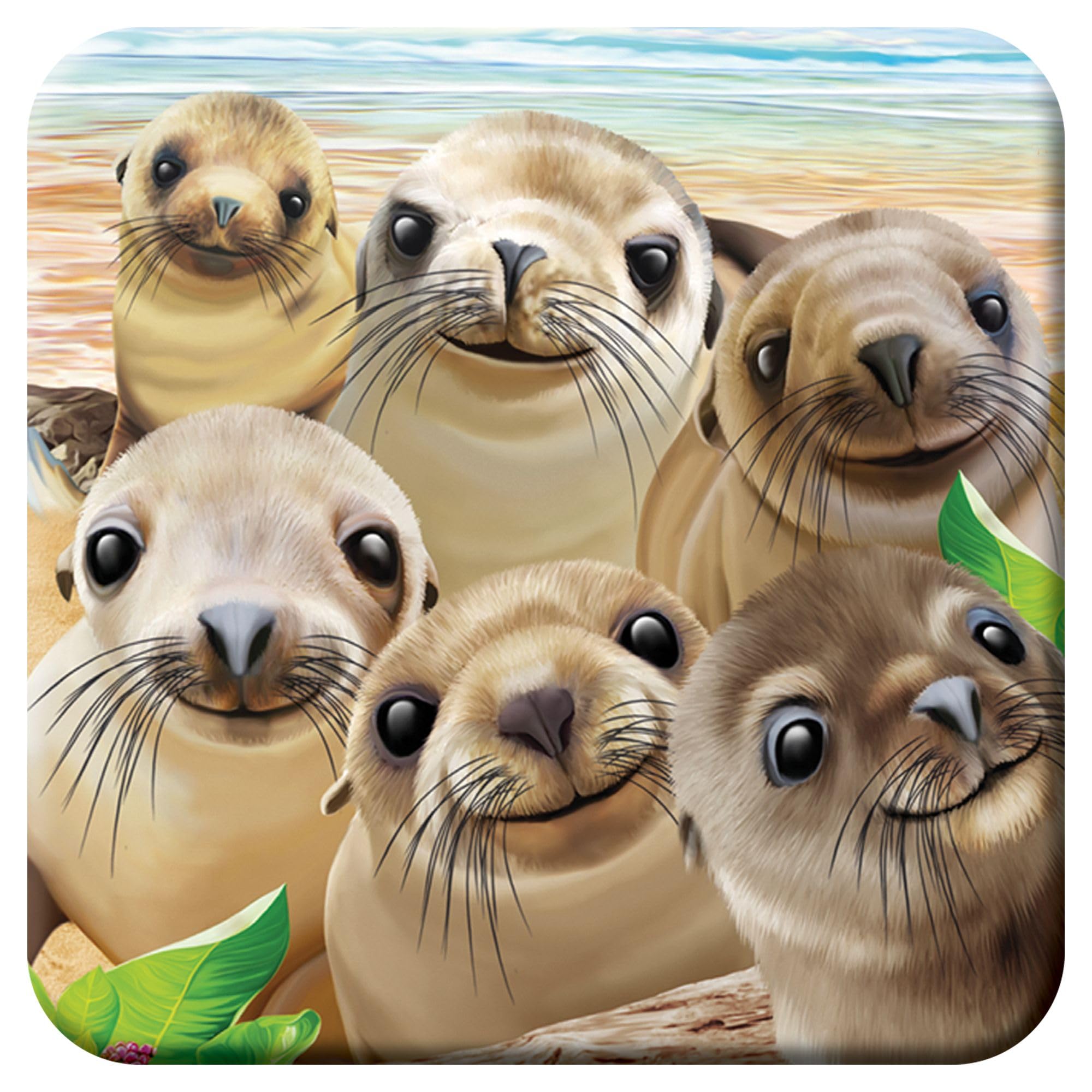 3D Livelife Women's Sea Lion Snap Cork Coaster - From Deluxebase. Lenticular 3D Sea Lion Drink & Mug Coasters. Fun Animal Gifts For And Men. Novelty Kitchen And Decorative Home Accessories.