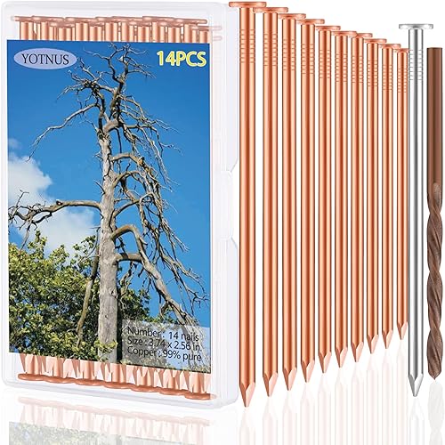 12 clavos de cobre para matar árboles, tocones y raíces, 3.5 pulgadas de largo, vienen con clavos de acero que permiten que los clavos de cobre