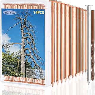 YOTNUS 12 Pcs Copper Nails for Killing Trees, Stumps & Roots - 3.5 Inch Long Come with Steel Nails Drill Nails Enabling the Copper Nails to Drive Into the Stump Without Bending (3.5 Inch, 12 Pcs)