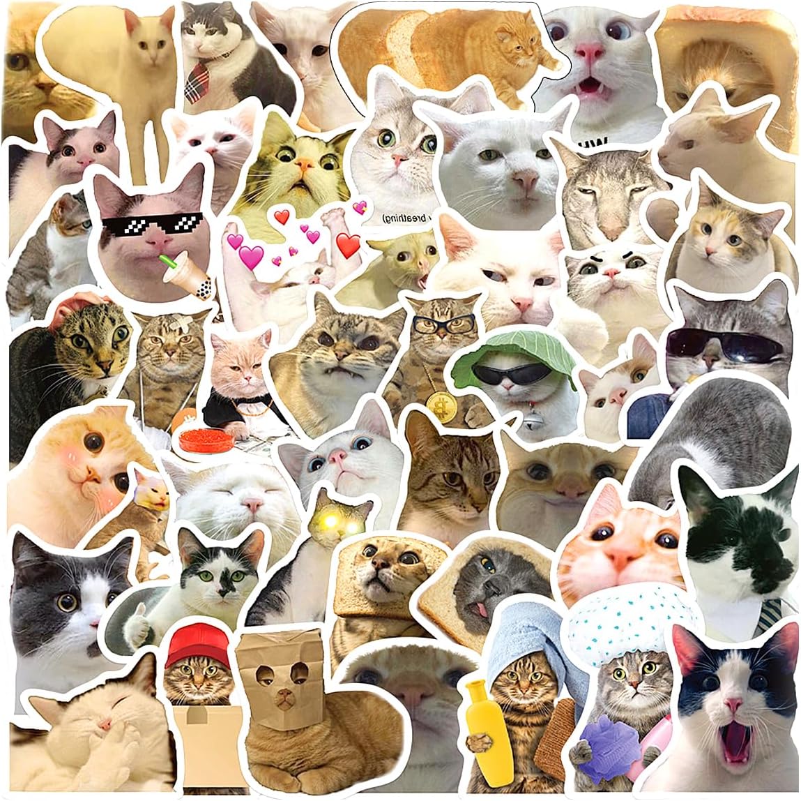 Funny Cat Stickers Set - 50Meme Stickers, Waterproof Vinyl Cat Decals for Water Bottle, Phone Case, Scrapbook & Laptop