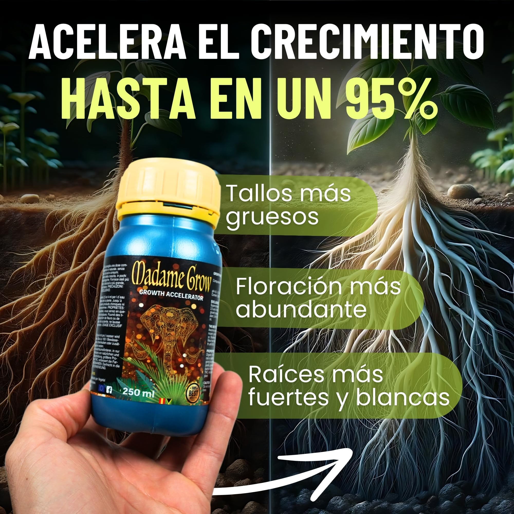 MADAME GROW Growth Accelerator 1 Litro | Enraizante Orgánico y Abono Crecimiento 2 en 1 | Estimulador de Raíces Blancas | Fertilizante Crecimiento para Esquejes y Trasplantes