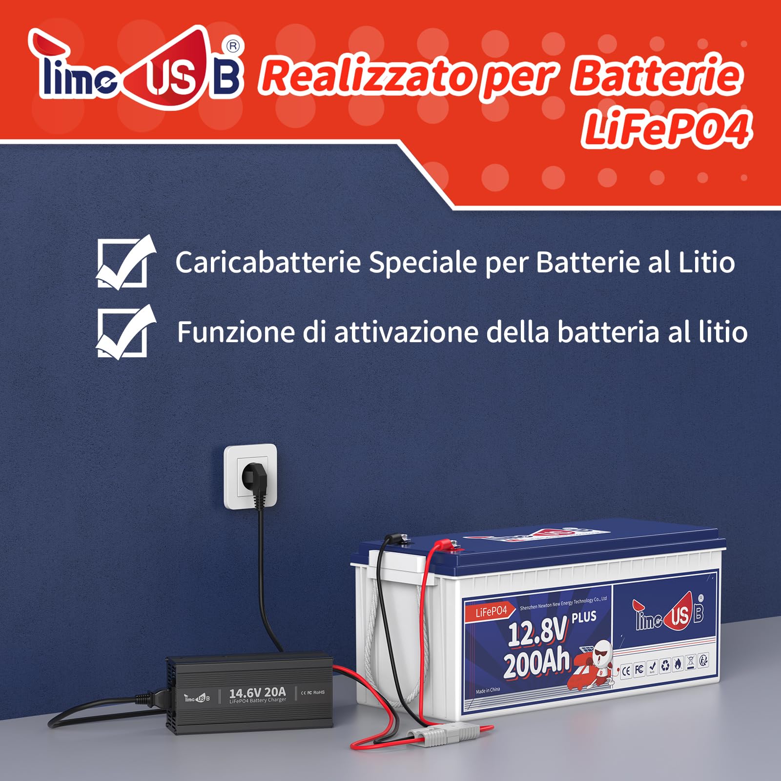 Timeusb Caricabatterie LiFePO4 14,6V 20A Ricarica Rapida, Caricabatterie al Litio Dedicato con Funzioni di Carica di Mantenimento,Caricabatteria Intelligente da 12V con Protezione Completa