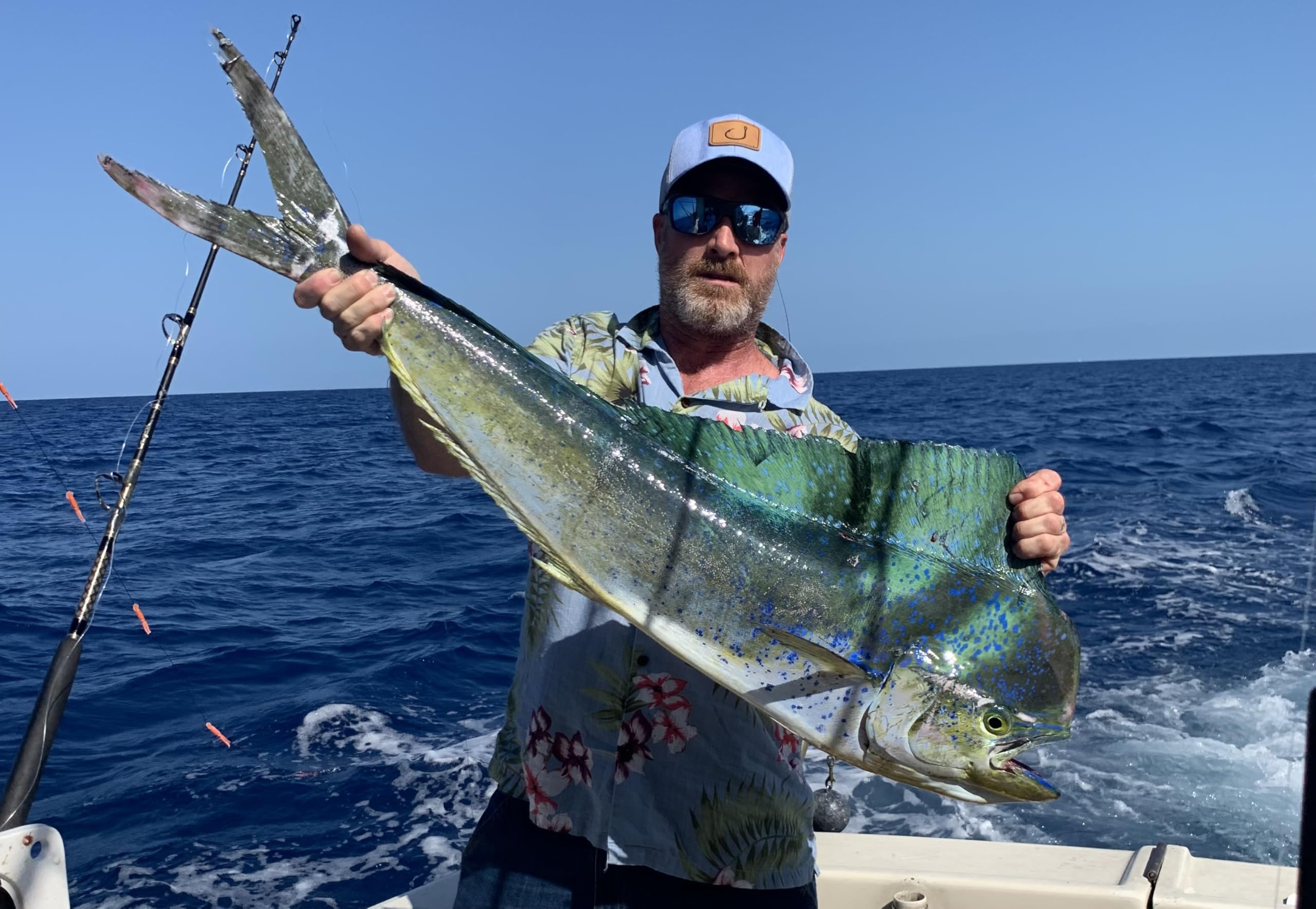 The Original Mahi Chaser Ballyhoo Rig Trolling Saltwater Fishing Lure. Ready to Fish Out of The Package. Tuna Wahoo Mahi Dolphin Fishing Custom Trolling Rig. Offshore Big Game Fishing Lure
