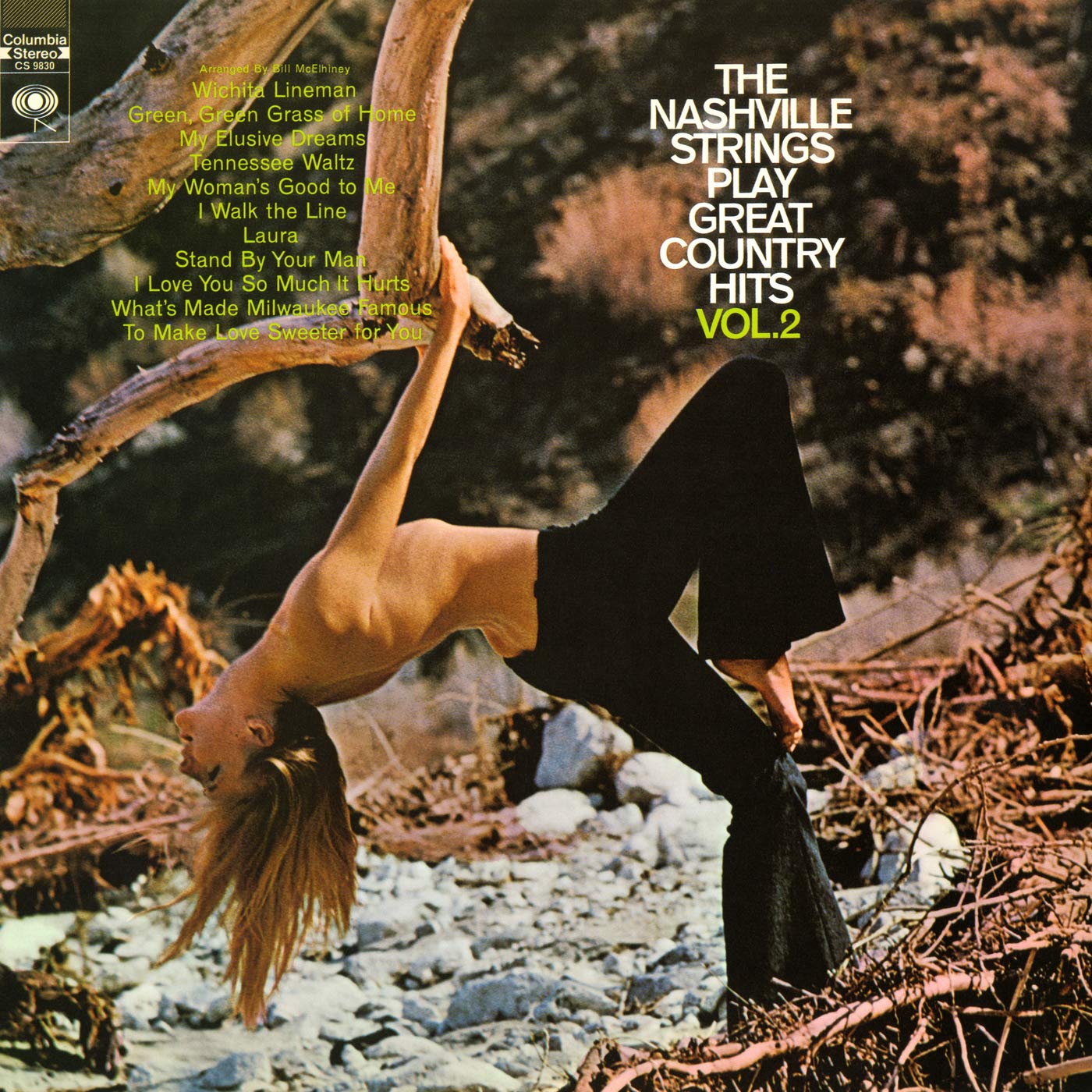 The Nashville Strings