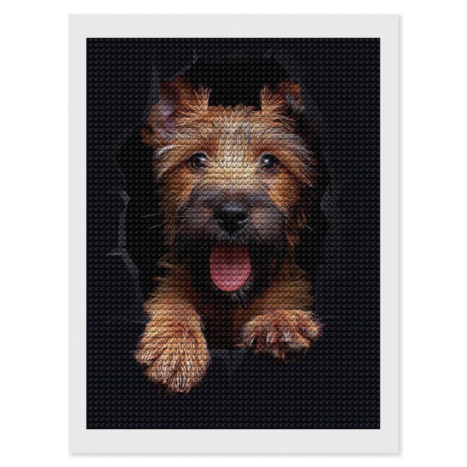 Junmoney Irish Terrier Diamond Art Kit 12"x16", Bedroom Decor, Adhesive Canvas, Full Kit Included, Thoughtful Present, Birthday Gift