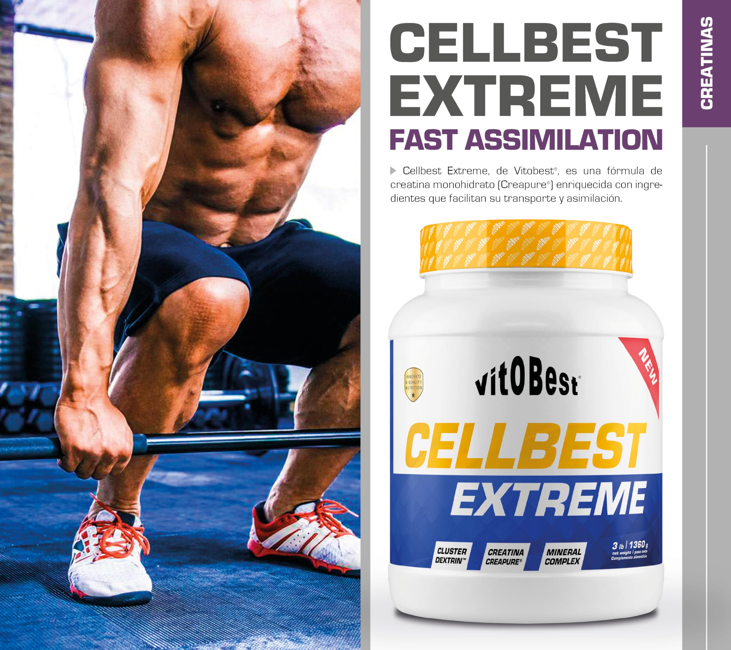 VITOBEST | Creatina Cellbest Extreme | Ideal en series de ejercicios breves de alta intensidad | Contribuye a mejorar la asimilación de la creatina en el músculo | Sabor Limón - 1,3 kg
