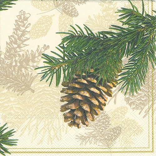 Miniatura 1 de Ideal Home Range Ply