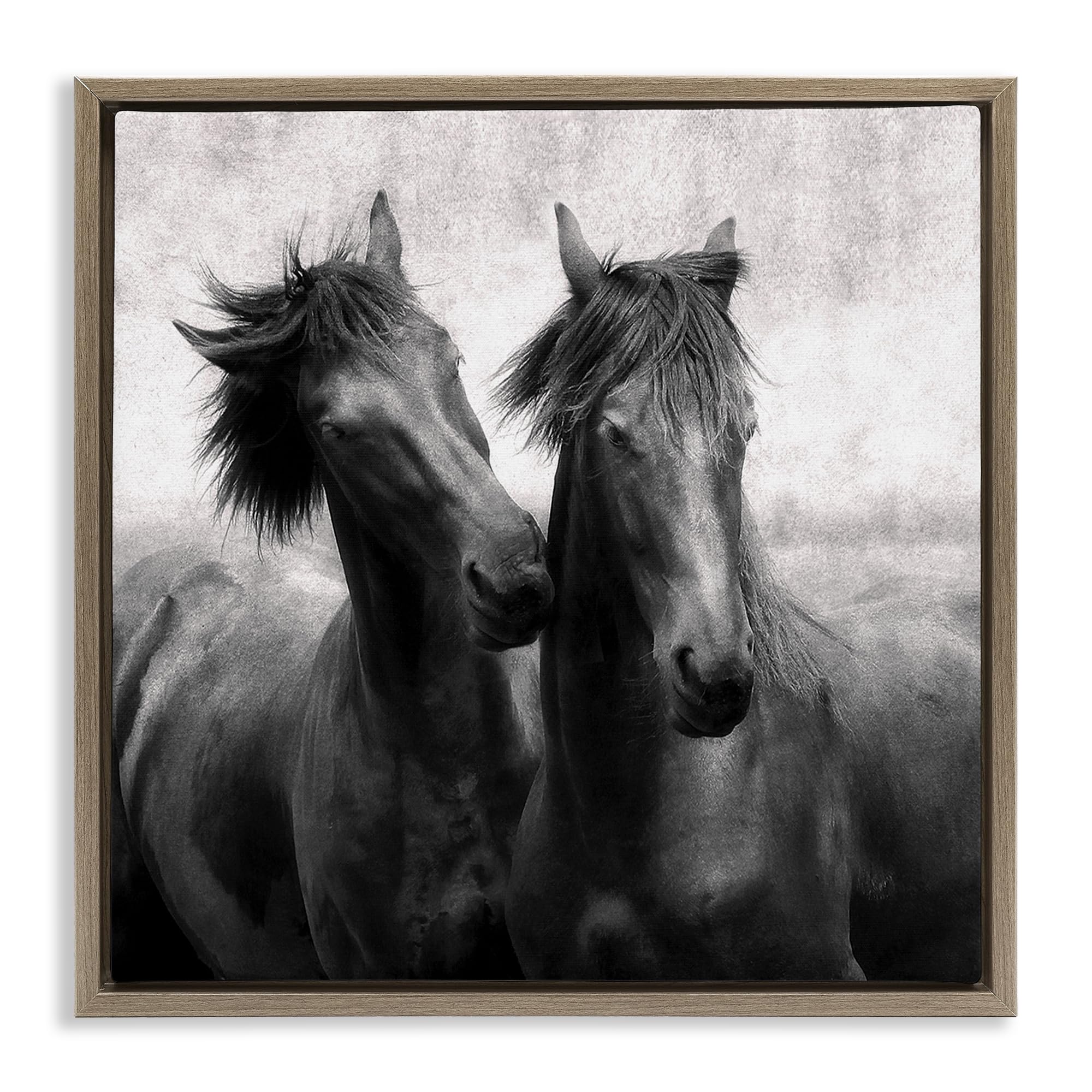 'Short Haired Horse Pair'| Floating Frame Canvas Art
