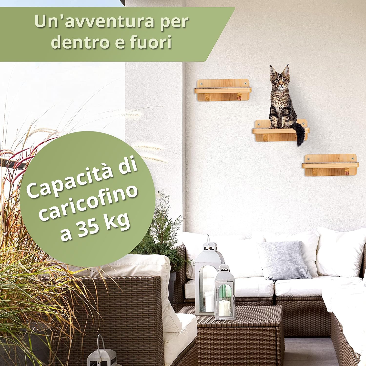 WOOWOOD Parete da arrampicata per gatti, set da 3 scale per gatti, da parete, per gatti, per arrampicata su parete, per gatti, per arrampicata su parete, XL