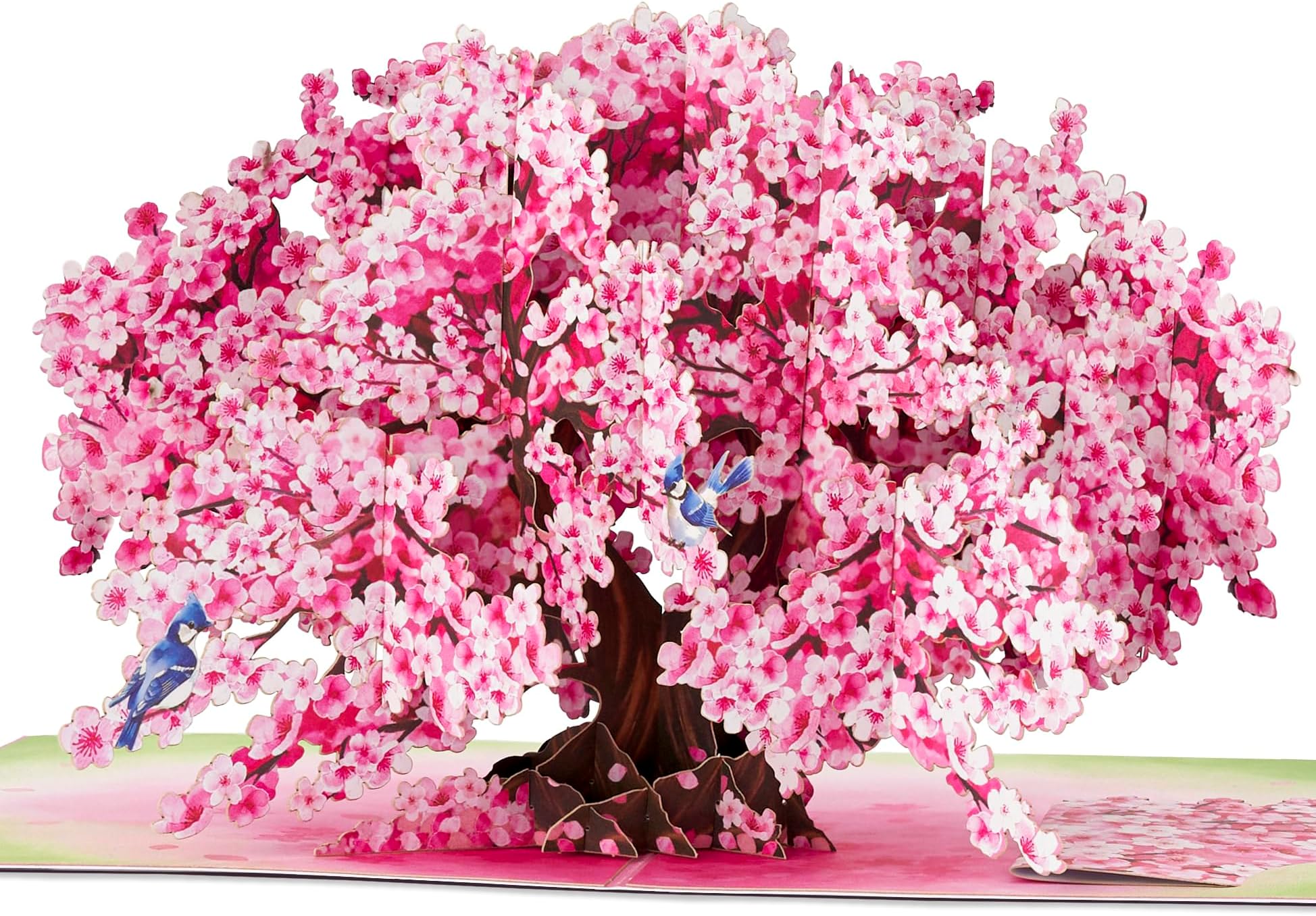 POPWOW Bonsai Cherry Pop Up Cards, Blue Bird, 3D Greeting Cards, Gift for Birthday, Mothers Day, Anniversary, Valentines Day, Mom, Wife, Her, Girlfriend, 5x7 - Includes Envelope And Message Note