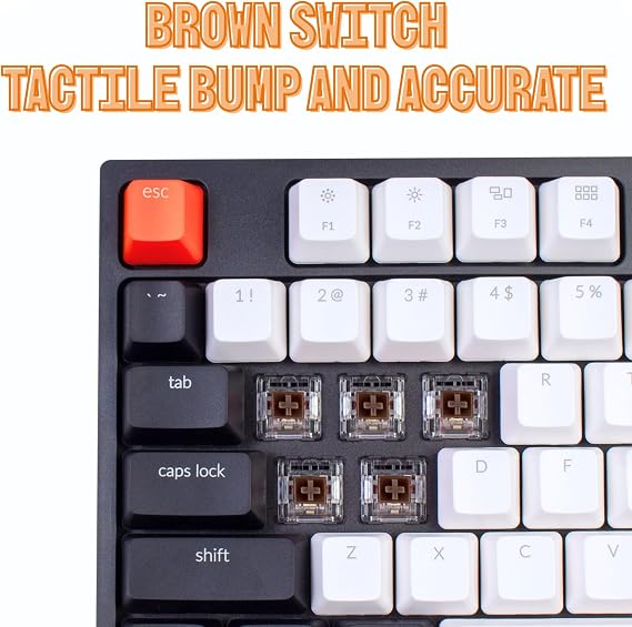 Keychron C2 Full Size 104 Keys USB Type-C Wired Mechanical Gaming Keyboard for Mac Layout, Gateron G Pro Red Switch/RGB Backlight/Double-Shot ABS keycaps Computer Keyboard for Windows Laptop PC