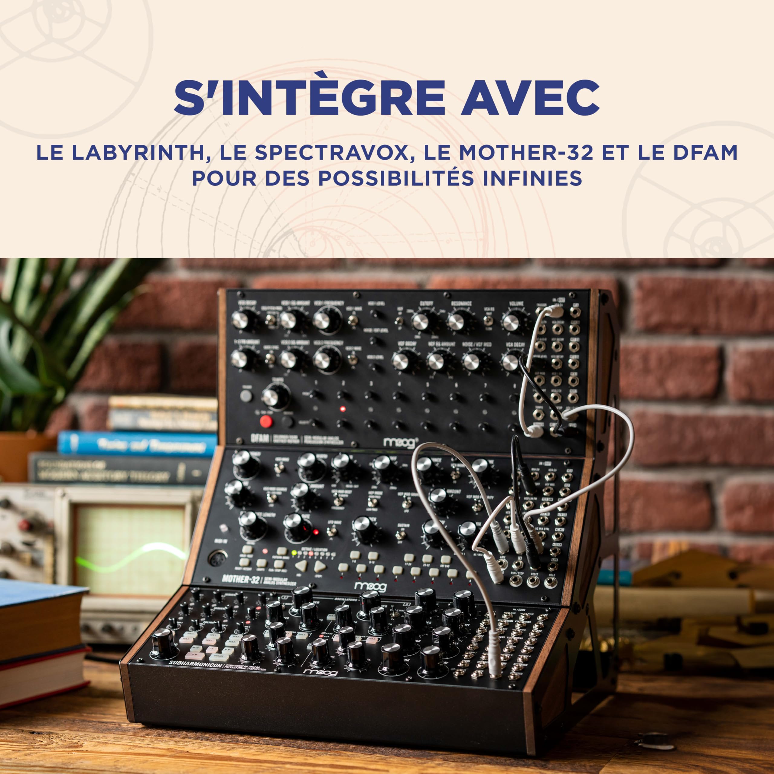 MOOG Subharmonicon Synthétiseur Polyrythmique Analogique Semi-Modulaire avec Deux Séquenceurs, MIDI et Baie de Patch