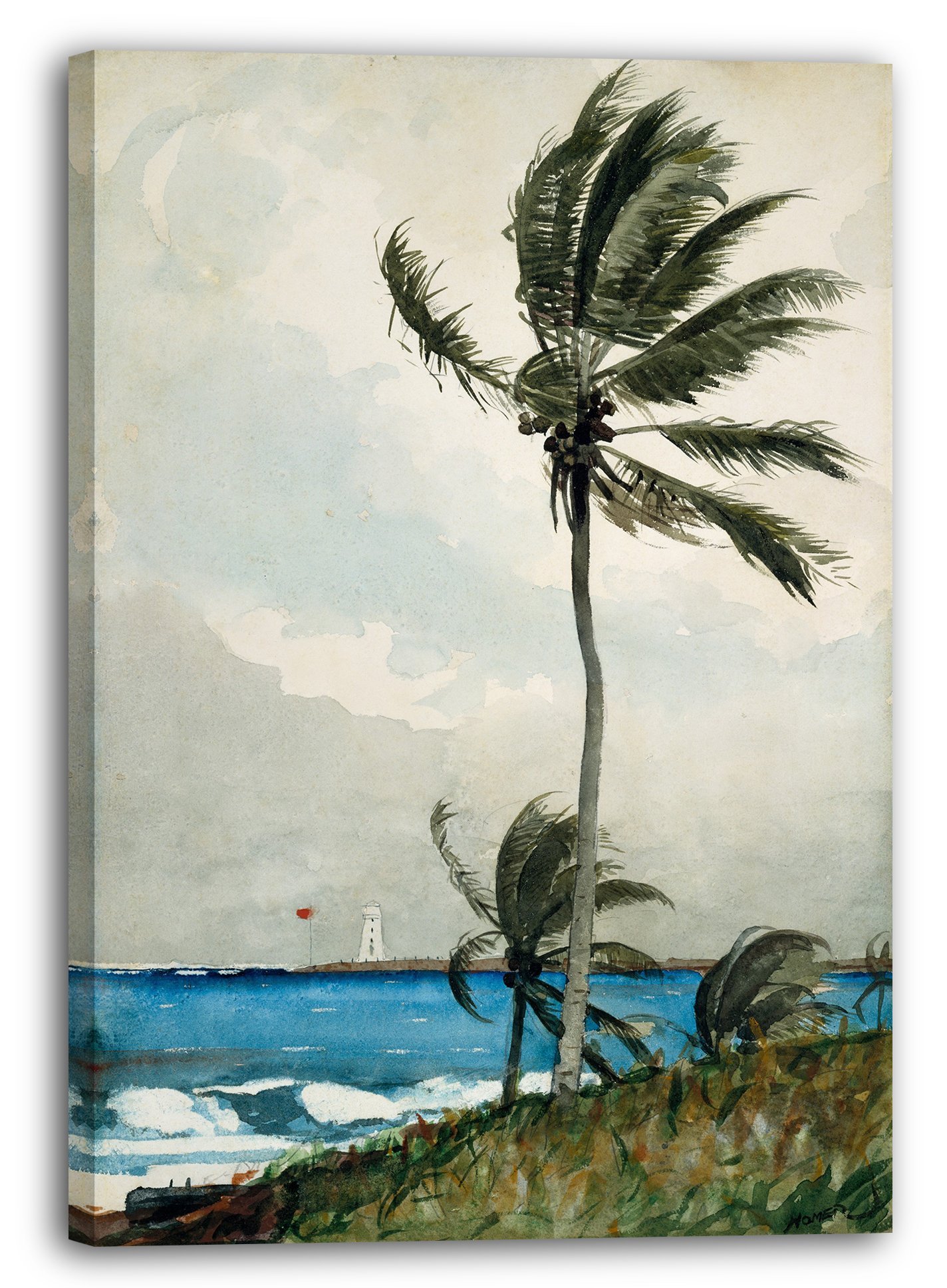 Impression sur toile (70x100cm): Winslow Homer - Palmier, Nassau