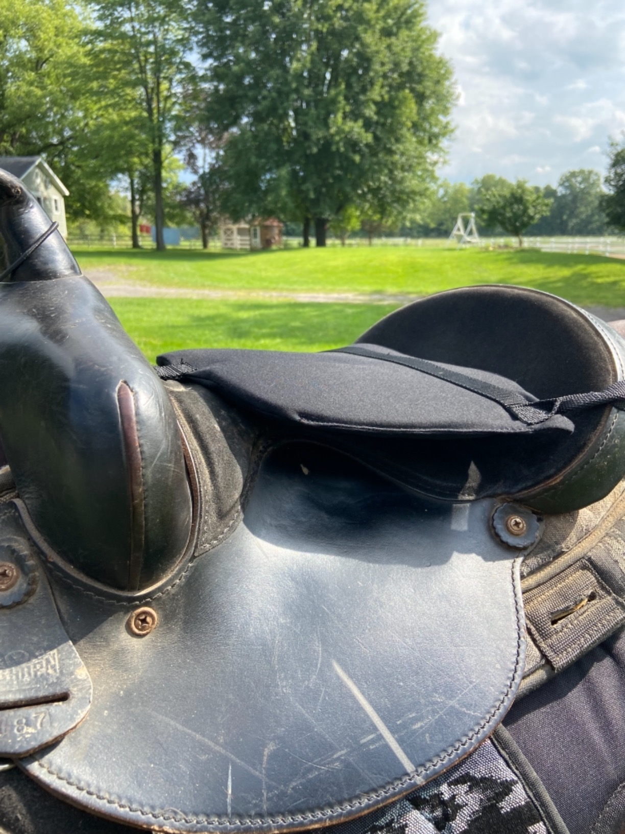 Cashel Western Saddle Foam Tush Cushion, 0.75inch Horse