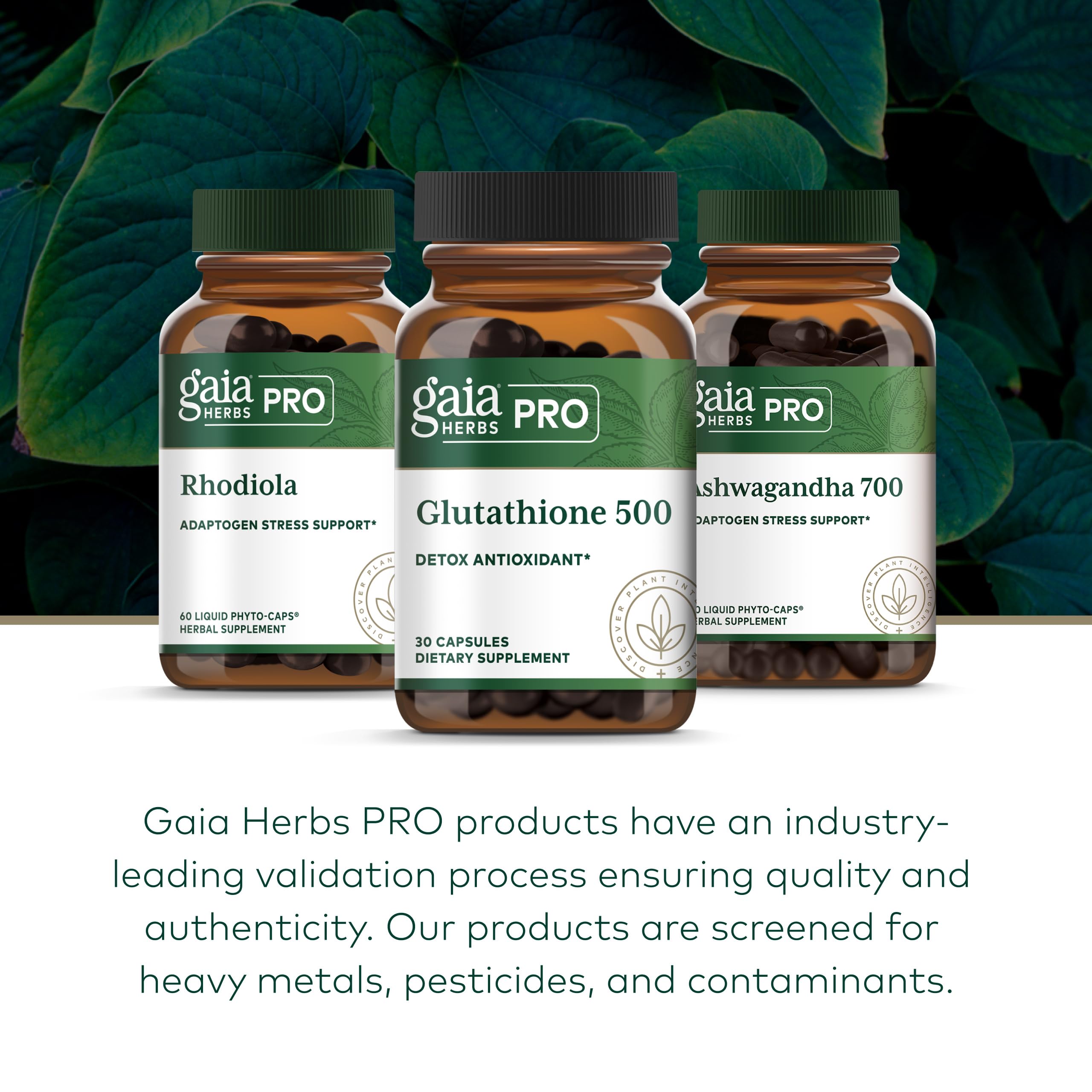 herbs with glutathione Amazon.com: GAIA HERBS PRO Glutathione 500 - Antioxidant Supplement  Supports Cellular Health* - Supplement with Glutathione for Men & Women -  Vegan, Gluten-Free, Soy-Free