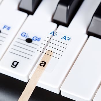 取り外し可 Keysies® 透明プラスチック製ピアノキーボード 音階ステッカー Amazon.com: New And Improved - Keysies® Transparent Plastic
