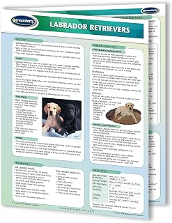 Labrador Retrievers Guide - Dogs Quick Reference Guide by Permacharts