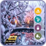 散る桜 - 禅の春のテレビスクリーンセーバー