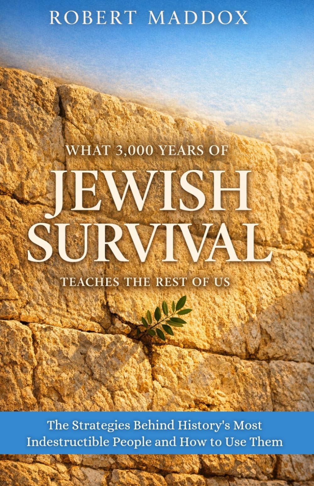 What 3,000 Years of Jewish Survival Teaches the Rest of Us: The Strategies Behind History's Most Indestructible People and How to Use Them