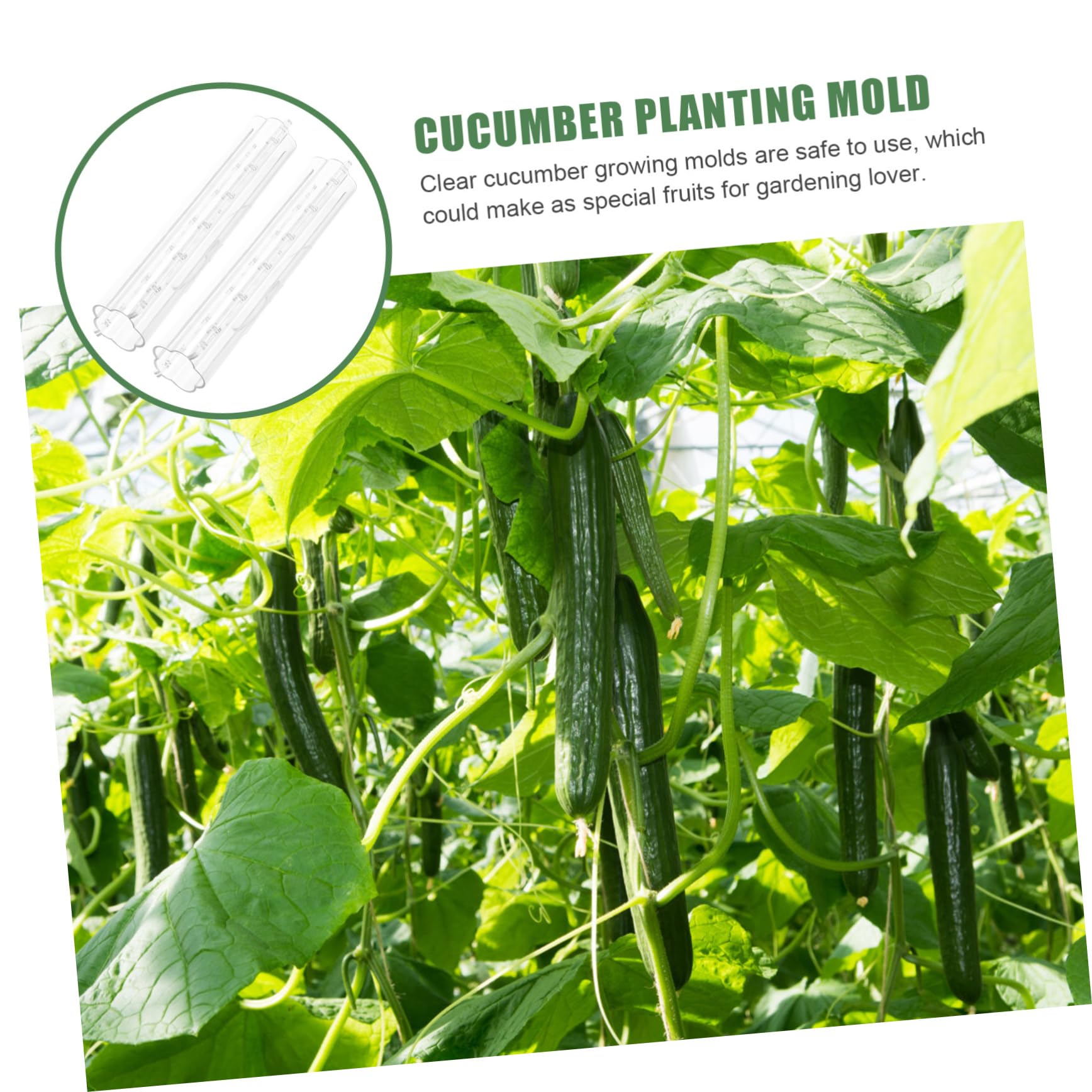 IWOWHERO Watermelon Growing Molds 3pcs Vegetable Shaping Mold Strawberry Pizza Fruit Growing Stereotypes Molds