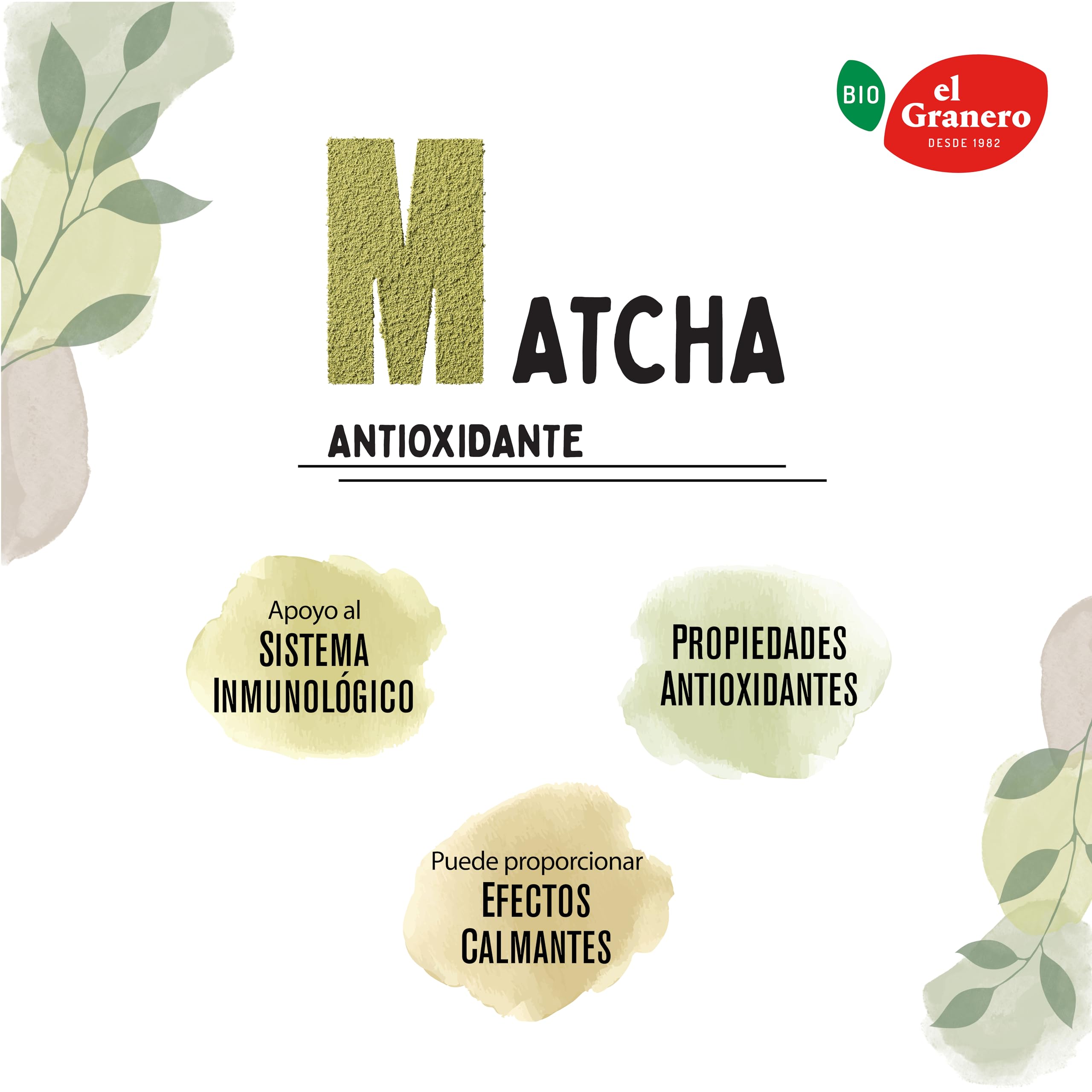 El Granero Integral - Matcha Ecológica - 100 g - Apto para Veganos - Regulador Hormonas - Fuente de Vitamina C y Magnesio - Propiedades Antioxidantes - Ideal para Preparar un Delicioso Té Matcha
