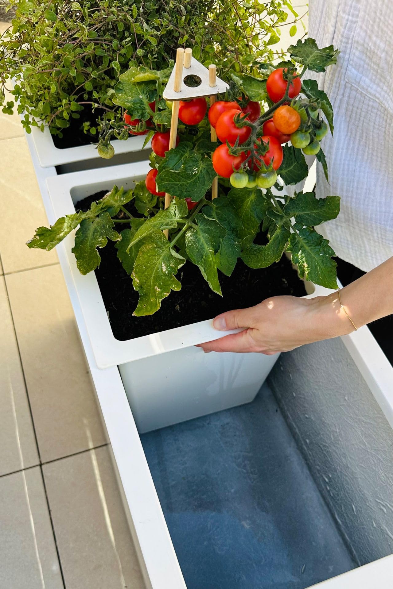 VIVANNO Großer Pflanzkübel Raumteiler auf Rollen - Fiberglas Weiß Matt | Wetterfester Blumenkübel 88x75x30 cm für Außen & Innen, inkl. Zwischenboden, mobil für Gastronomie & Hotel