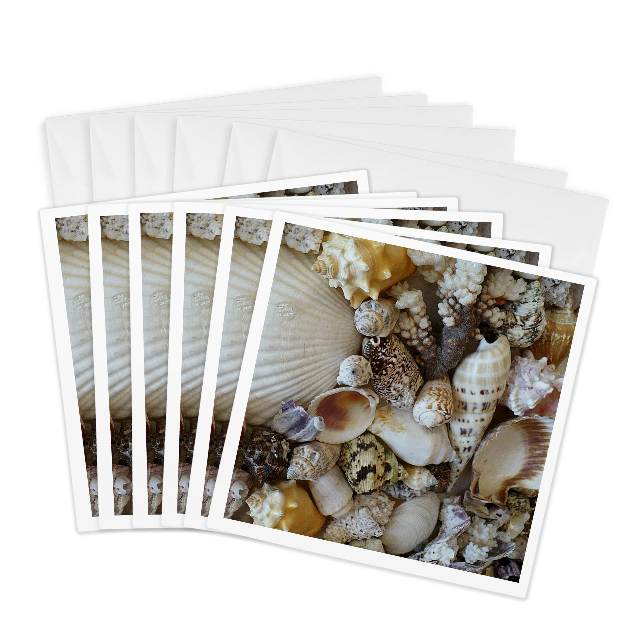 3dRose gc_7337_1 6 x 6-Inch "Shells of Sanibel" Greeting Card (Pack of 6)