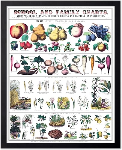 Miniatura 343 de Poster Master Póster vintage de orquídea, estampado de flores retro, arte de pared de plantas exóticas, arte botánico, regalo para hombres y