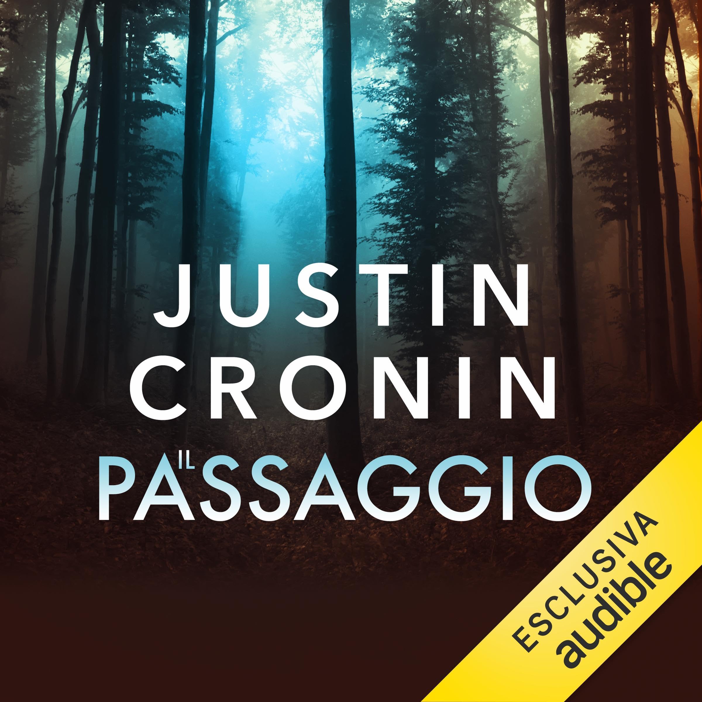 Cover art for Il passaggio