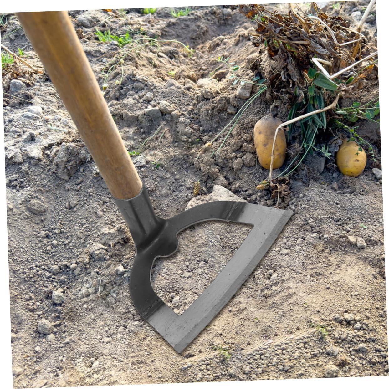 Toddmomy 2piezas Azada Hueca Para Jardín y Granja Herramienta De Desmalezado Cabeza De Azada De Acero Para Cultivar y Preparar Suelo Jardines Domésticos