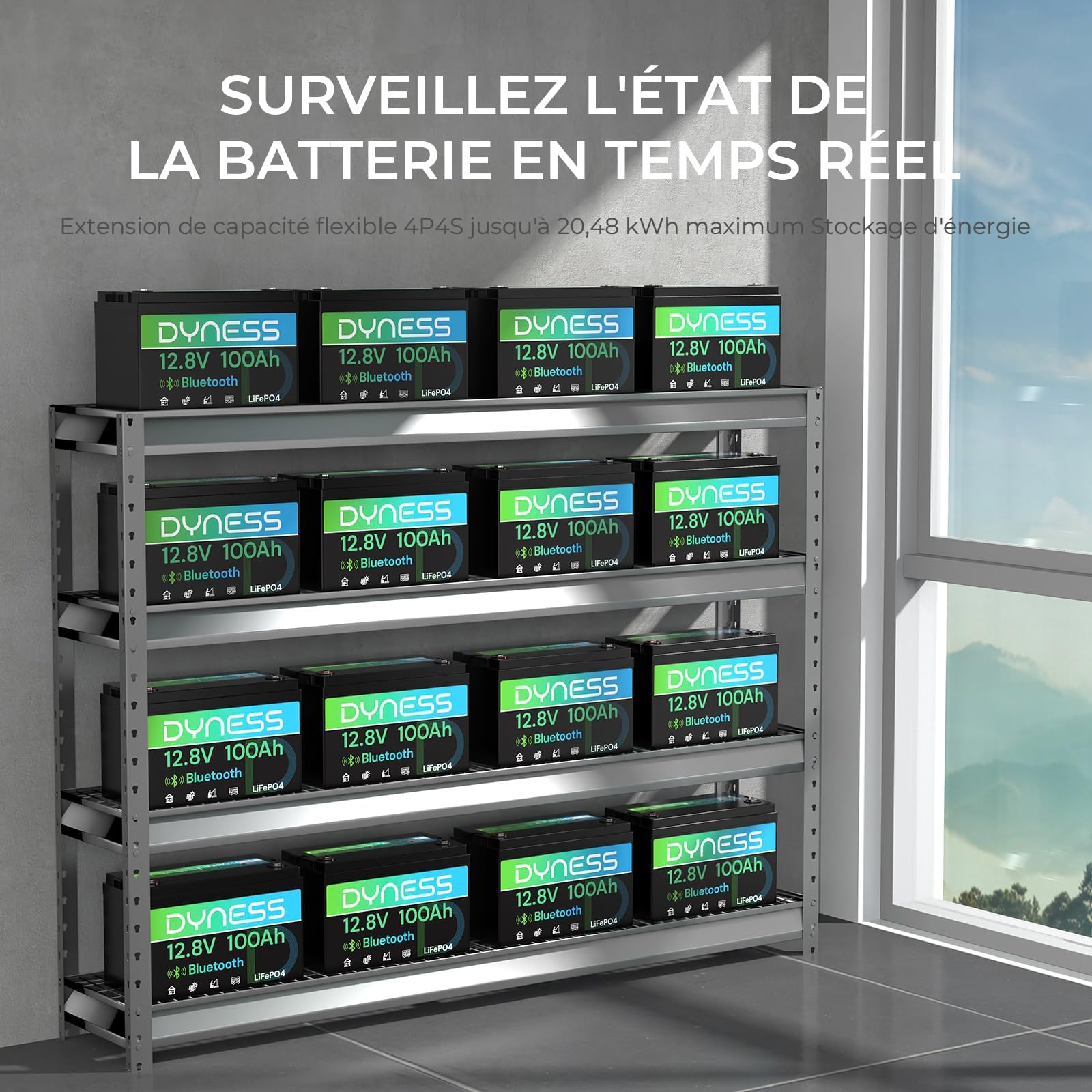 Dyness Batterie Lithium 12V 100Ah Bluetooth - Batterie LiFePO4 avec BMS 100A pour Camping-Car, Van, Bateau et Système Solaire - Accumulateur Deep Cycle