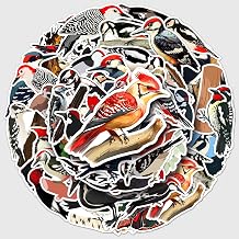 50 Pcs Agile Woodpecker Stickers, 1.96-3.15inch Cartoon Bird Decorative Stickers, Self-Adhesive for Scrapbooking, Home Decoration, Forest Theme Setup(Woodpecker)