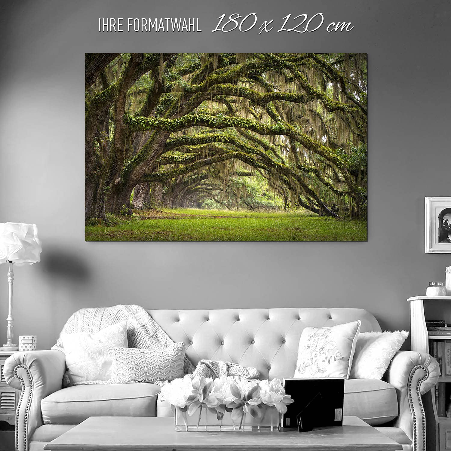 BilderKing Wandbild Baumallee Alte Eichen - 180cm x 120cm Alu-Dibond 3mm weiß + Rückrahmen