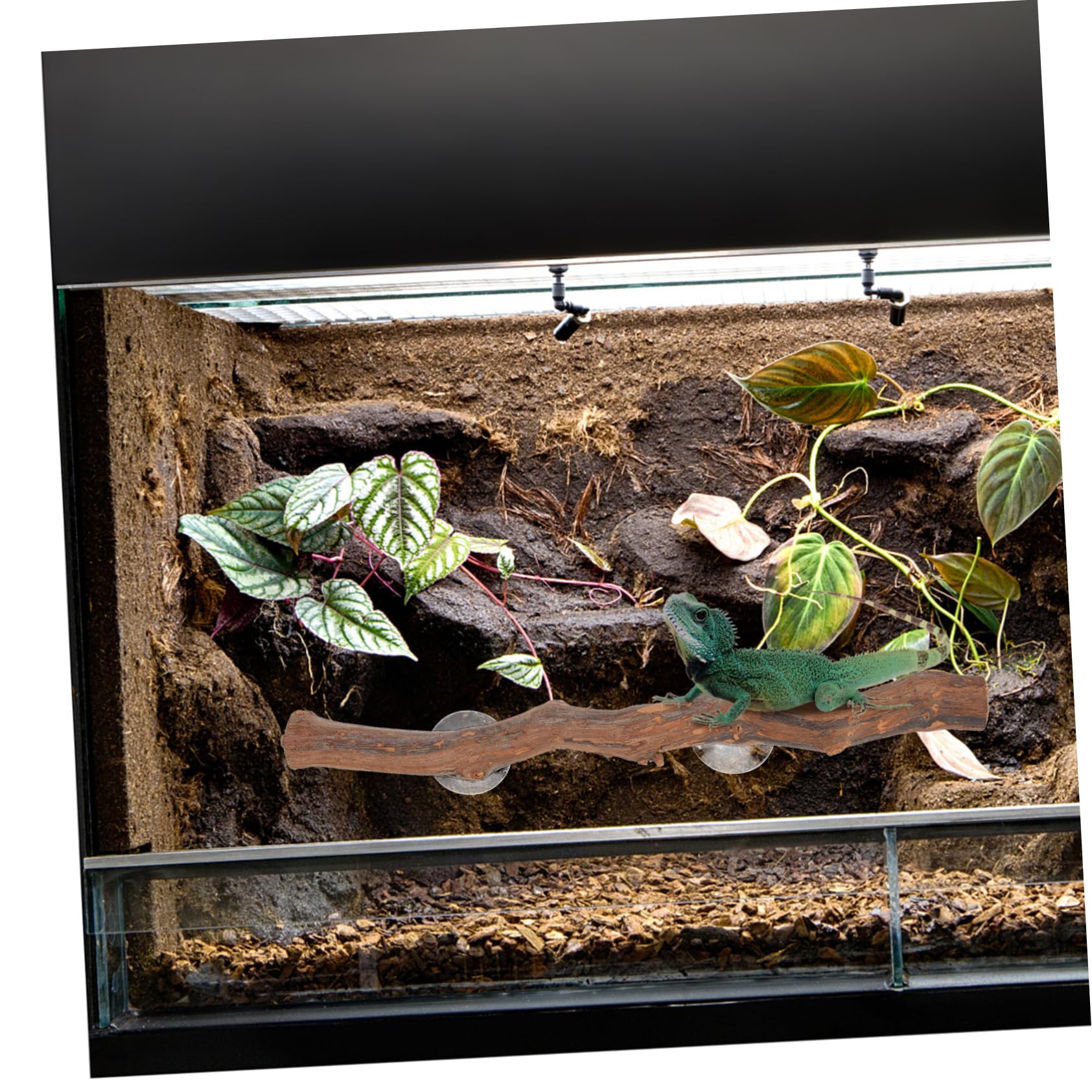 BESPORTBLE 3 Pezzi Supporto in legno d'uva amaca lucertola decorazioni per carri armati di lucertole kit Rampino per lucertole Accessorio per rettili ramo rampicante decorativo per rettili