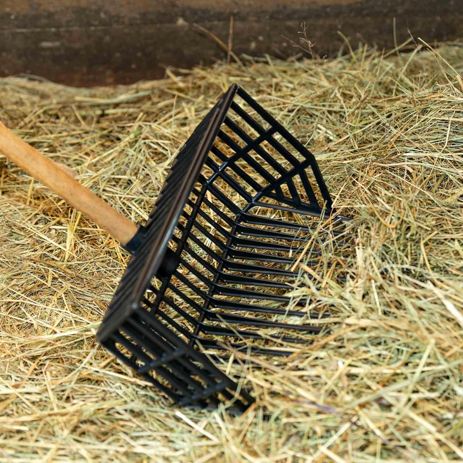 HORZE Durable Basket Pitchfork Replacement Head - Black - One Size