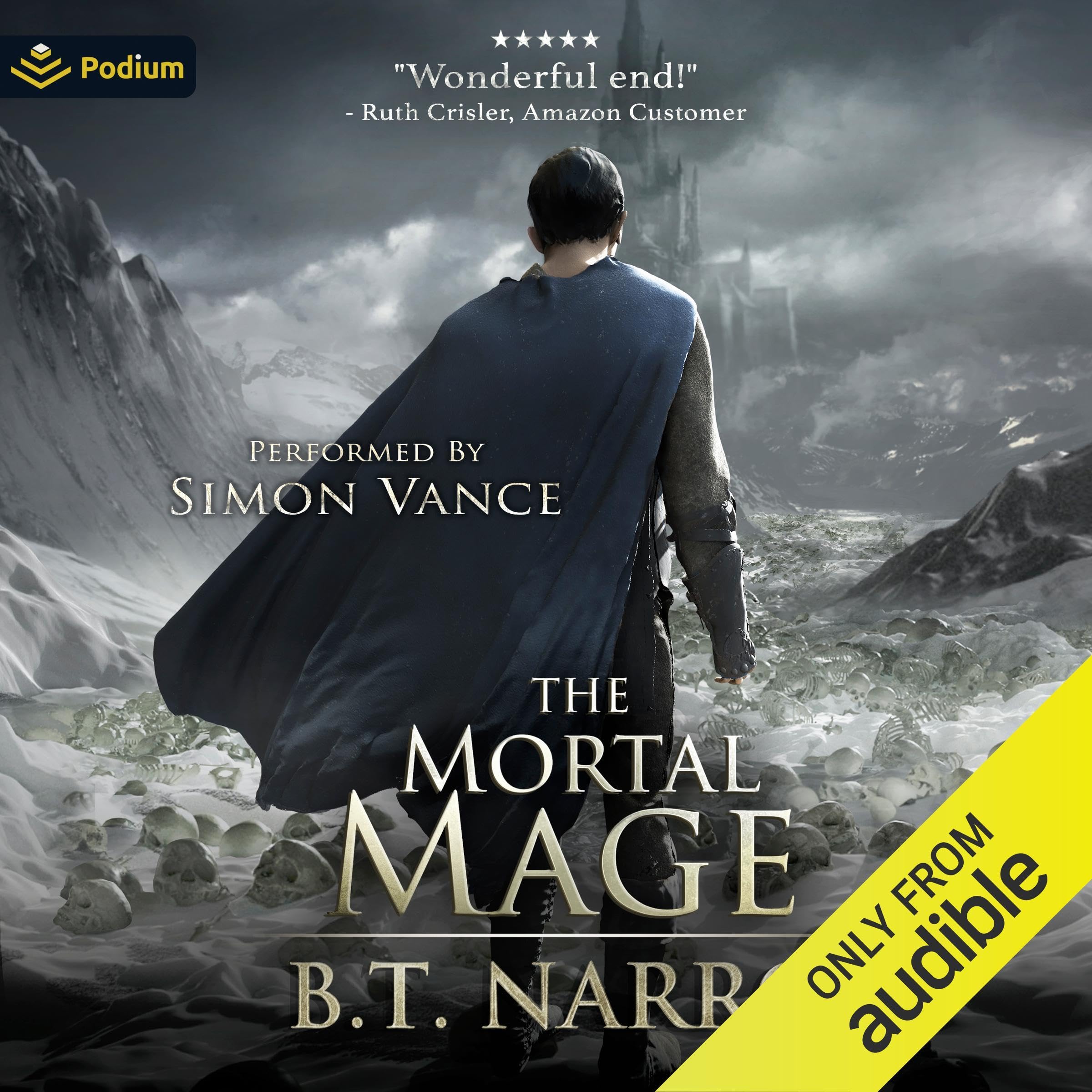 Cover art for The Mortal Mage