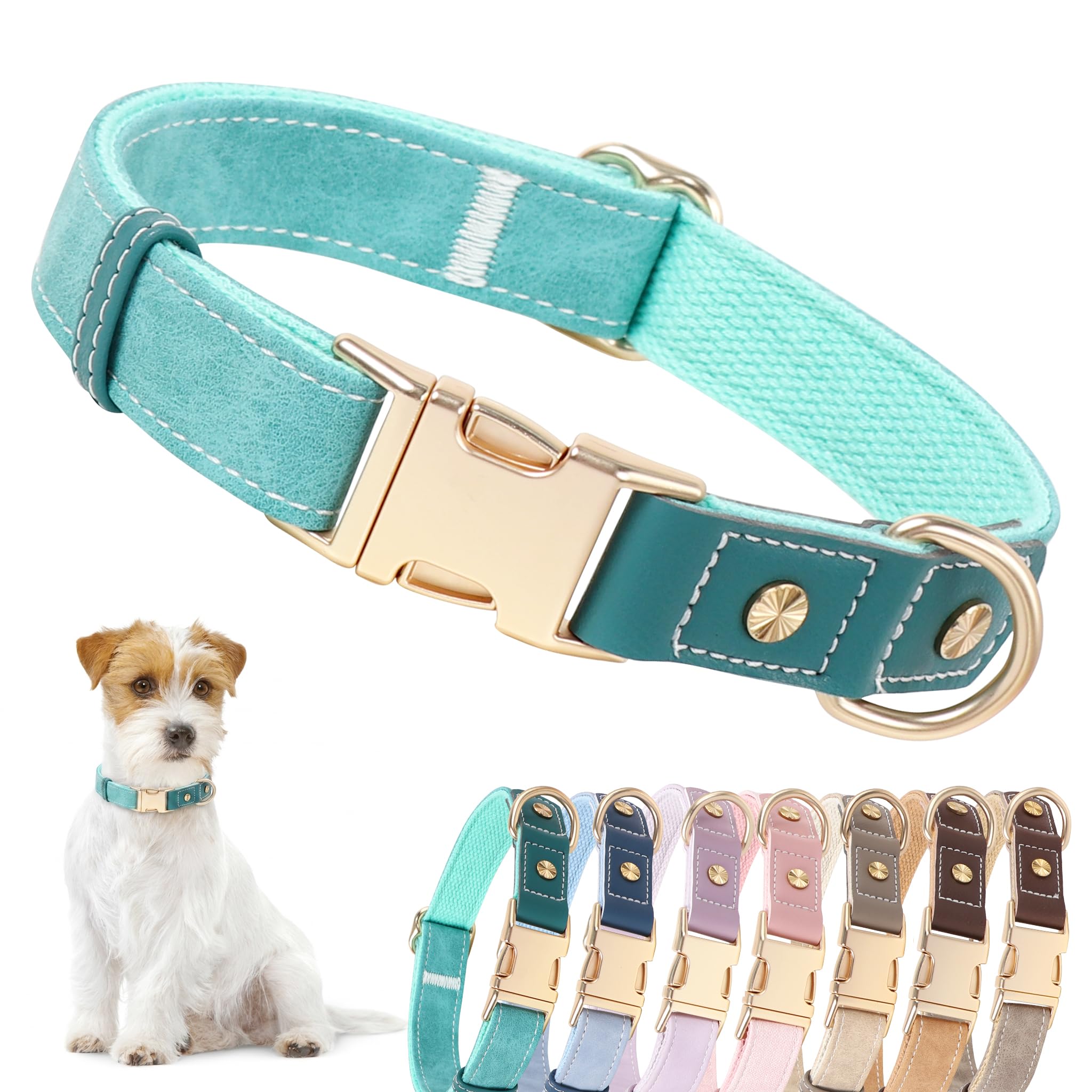 DOGWONG PU Leather Dog Collar in Teal