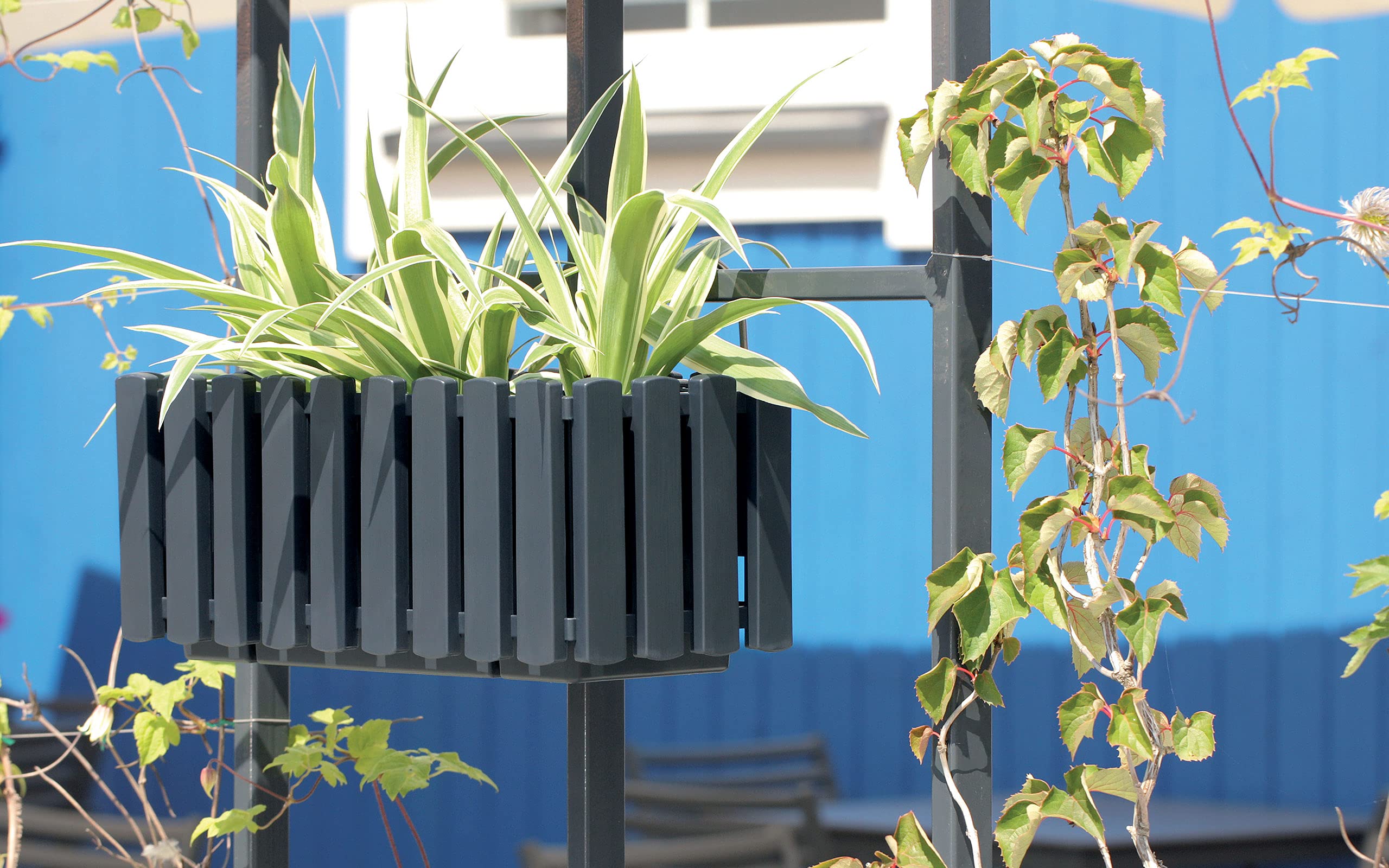 PAFEN 4X Blumenkasten Blumentopf mit Halterungen – 38 x 18 x 16,2 cm - Pflanztopf Bewässerungssystem Balkonkasten Pflanzkästen, Anthrazit