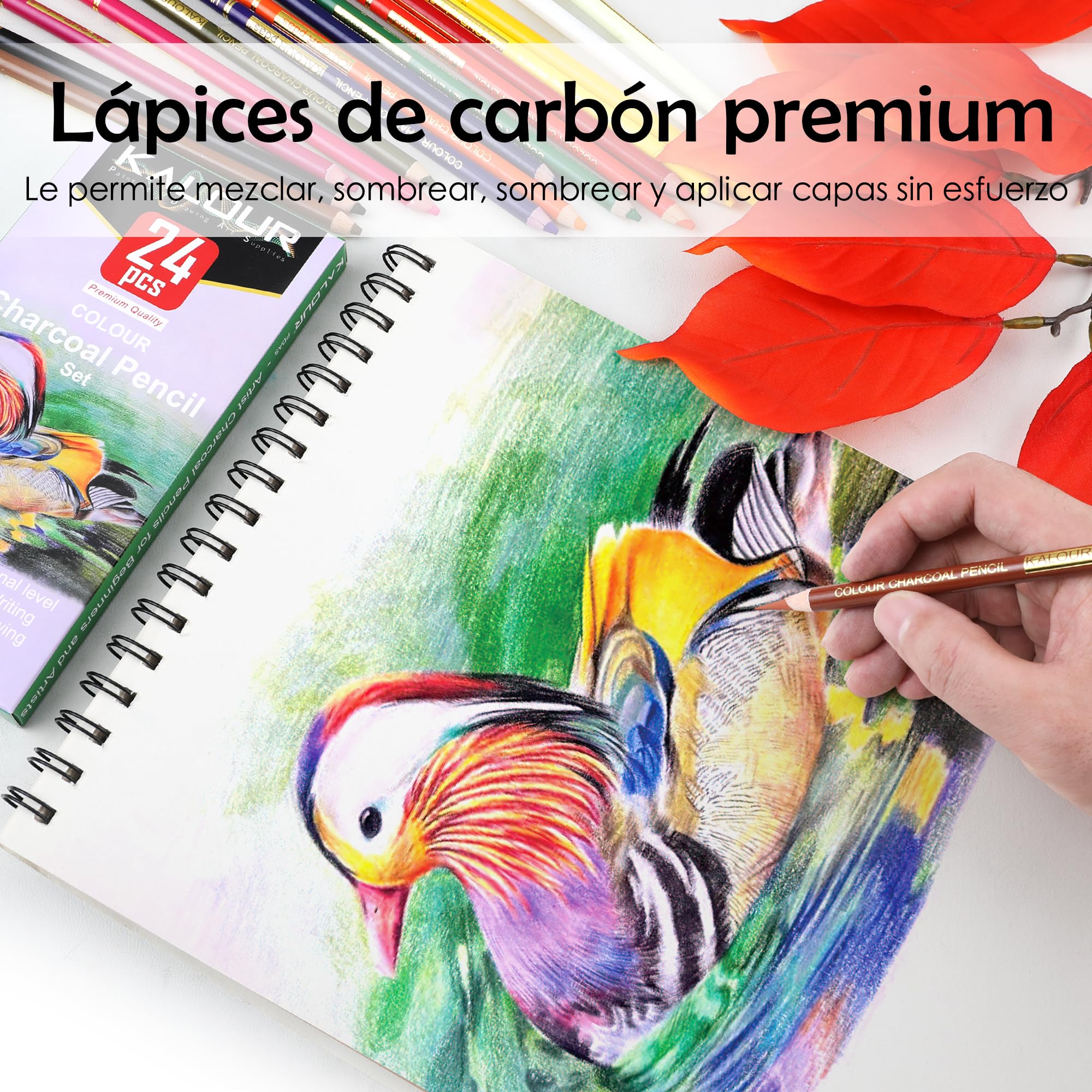 KALOUR PDAS Juego de 24 lápices de carbón de colores, lápices de tiza pastel, tono de piel, para dibujar, sombrear, colorear, capas y mezclar para principiantes y artistas